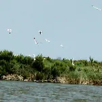 Vila Botticelli