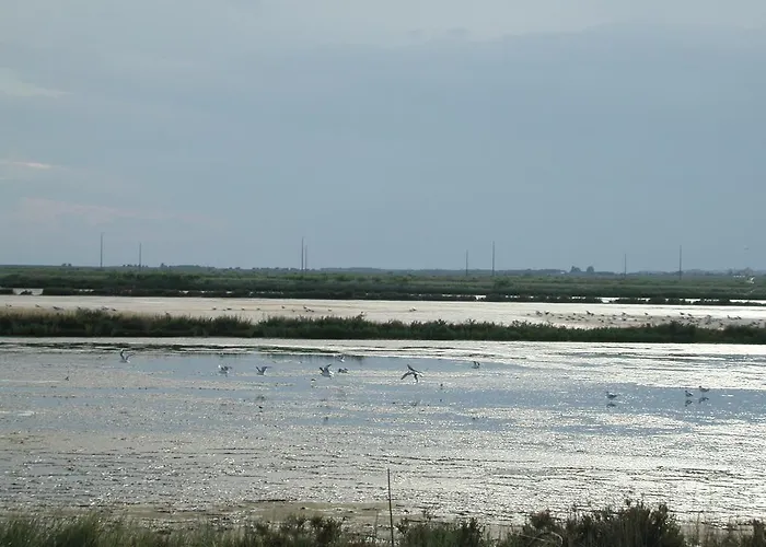 Villetta Botticelli Villa *