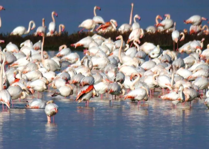 Villetta Botticelli * Lido di Spina