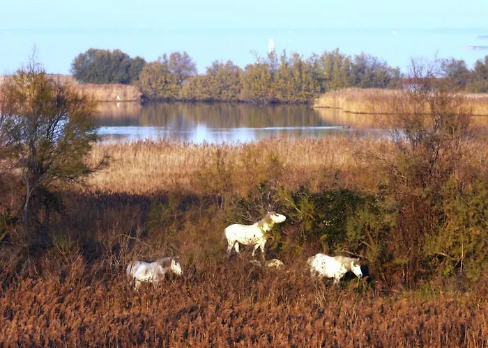 Villetta Botticelli *