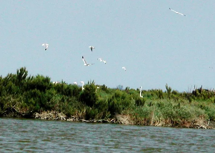 Villa Villetta Botticelli